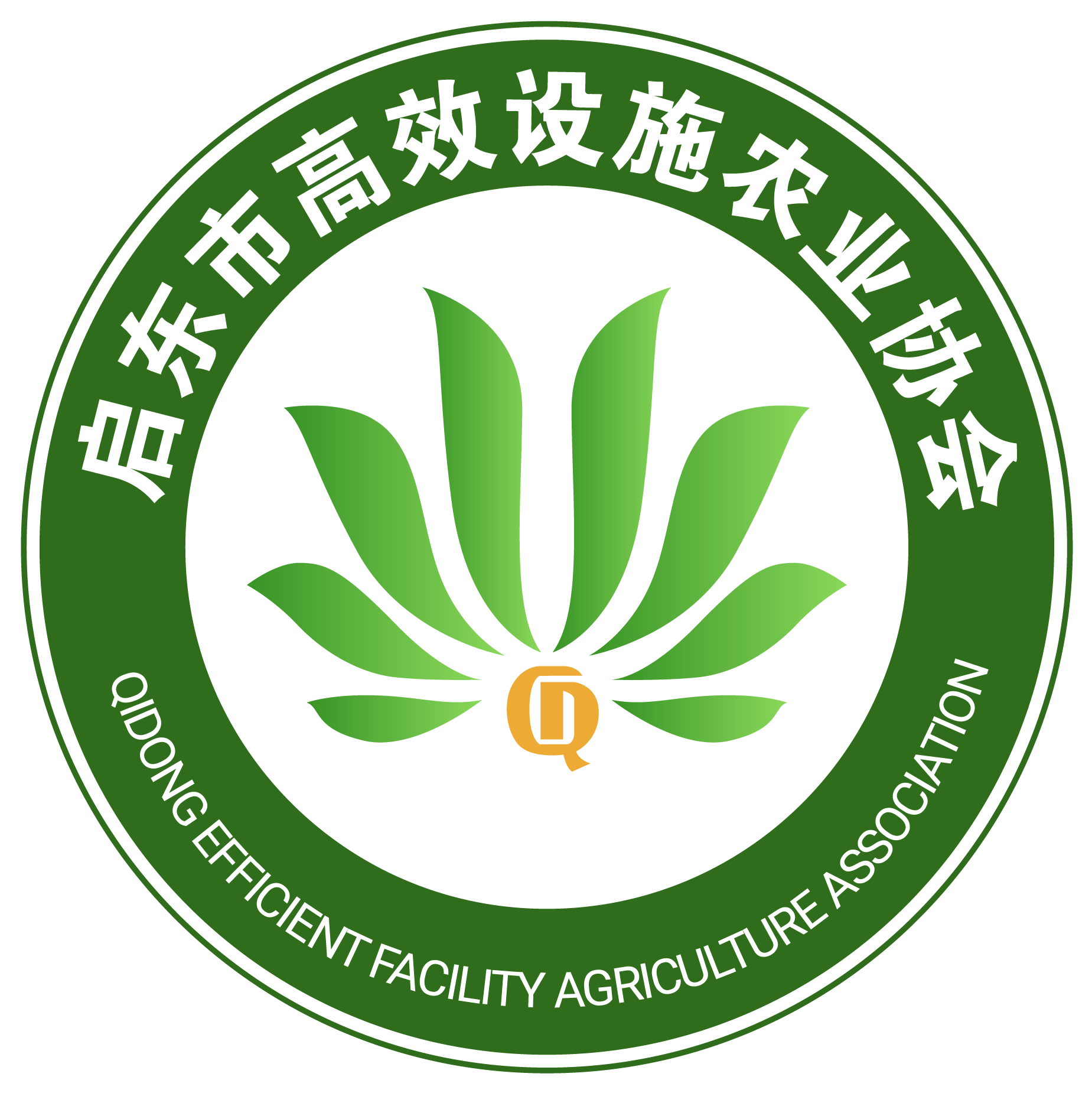 启东市高效设施农业协会