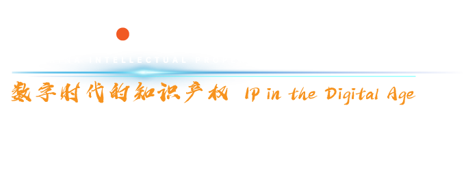 第十三届中国知识产权年会